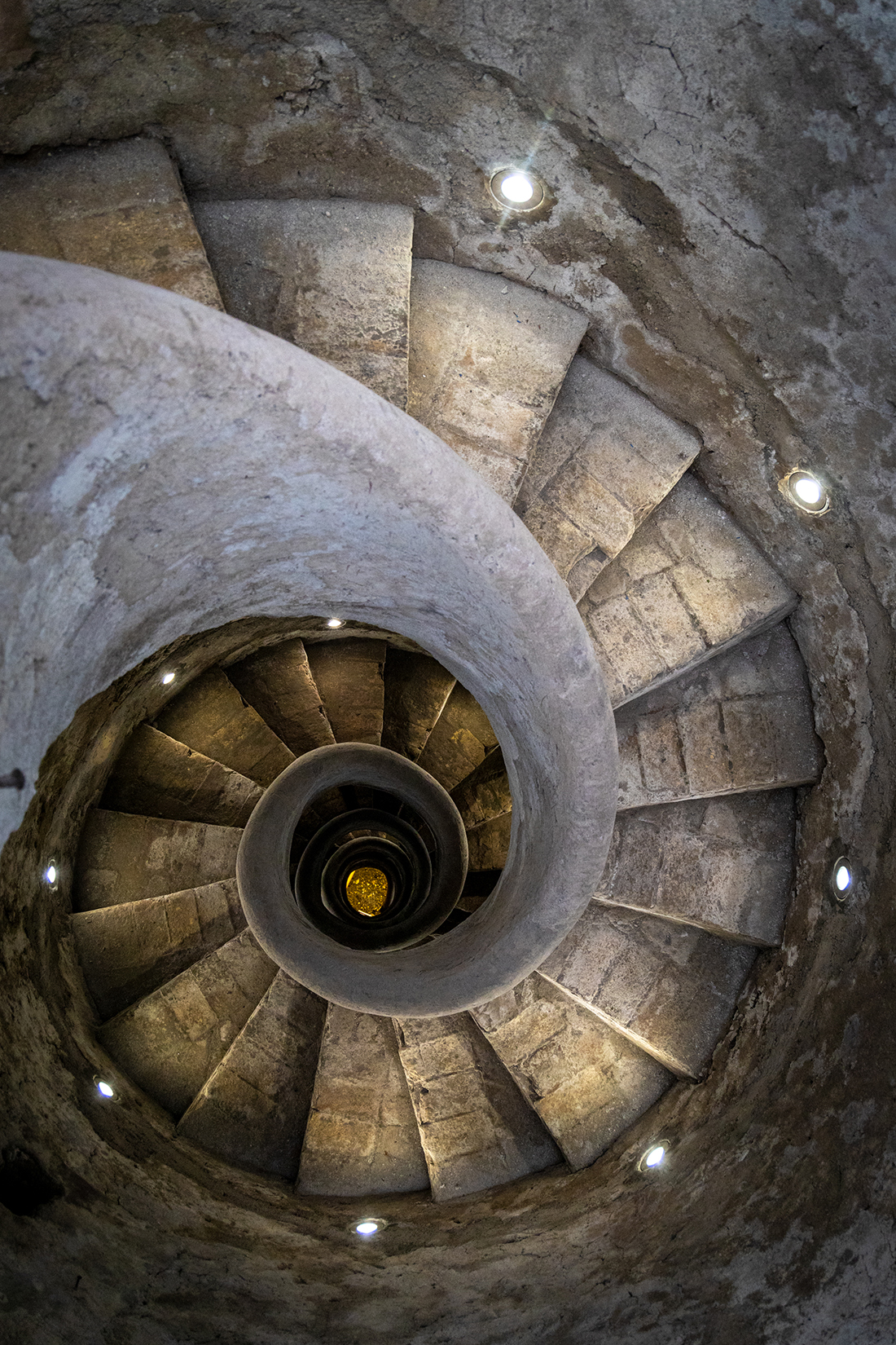 CHIOCCIOLA DI VILLA MEDICI