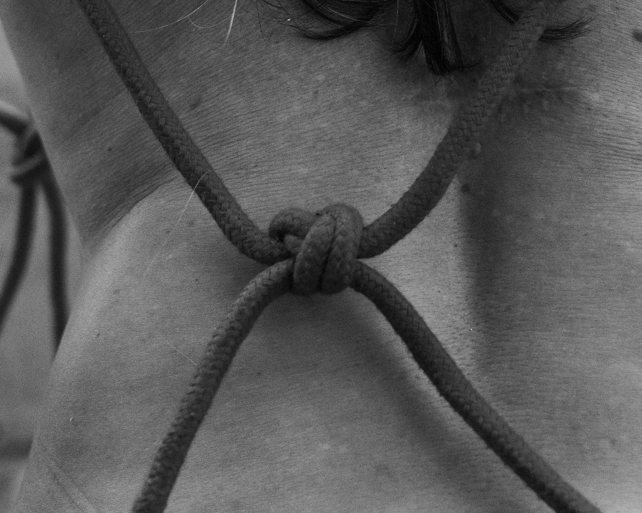 ARIMONDI3 Rewired. Performance & photo