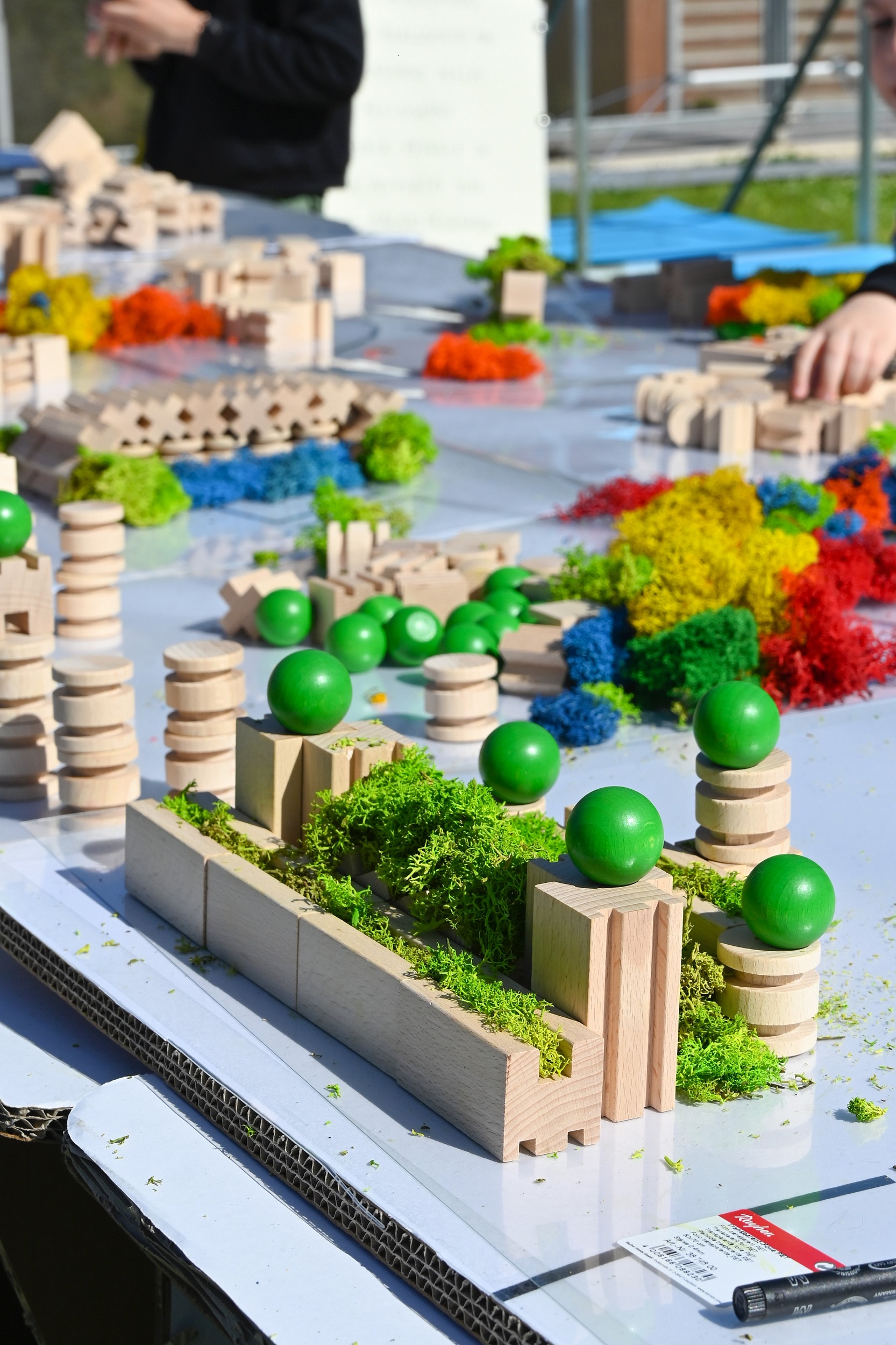 UNA CITTÀ CHIAMATA FORESTA