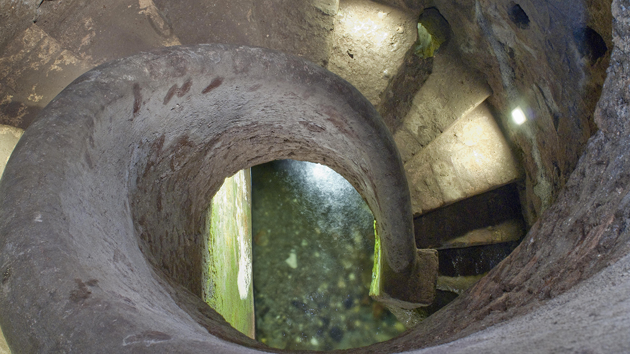CHIOCCIOLA DI VILLA MEDICI