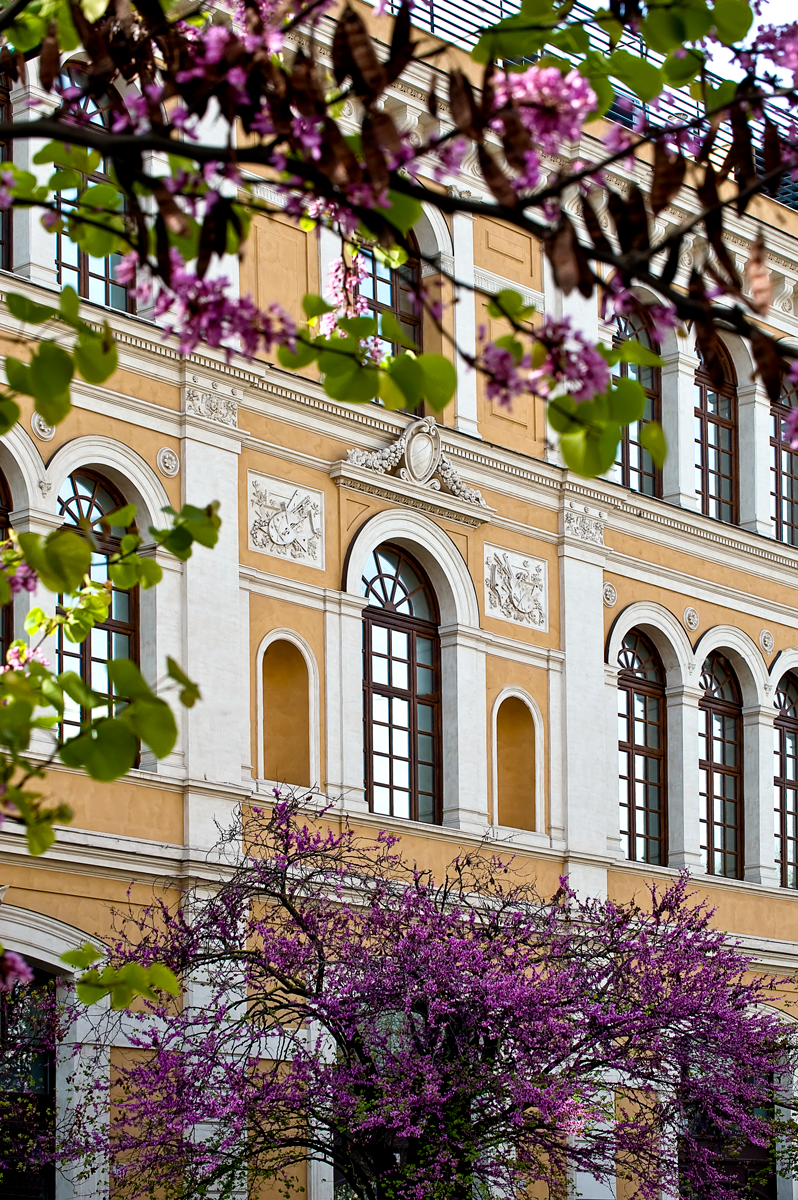 PALAZZO CORRODI. Cassa Geometri