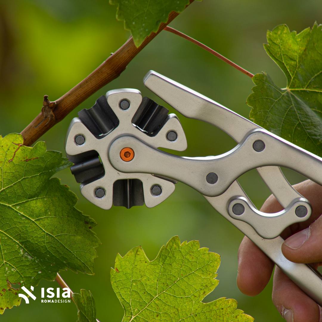 ISIA ROMA DESIGN