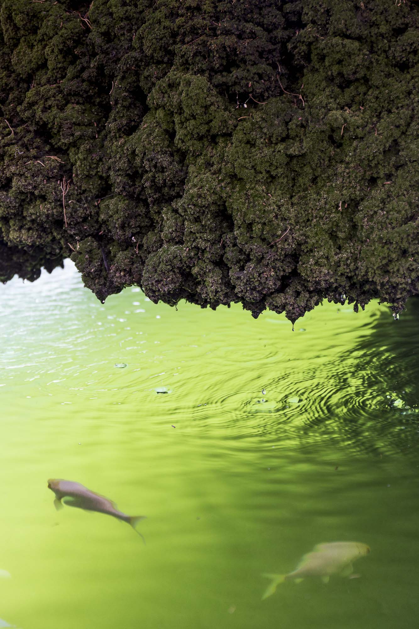 Conosco una città - mostra fotografica collettiva